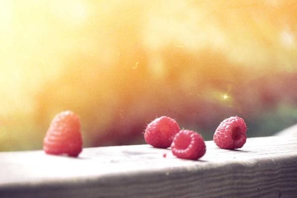 JATA 법률사무소