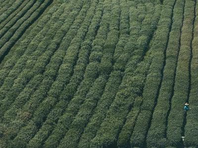 산티아고 마법의 마을