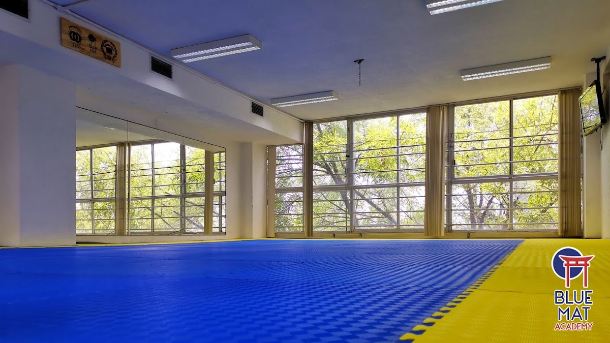 Blue Mat Academy
