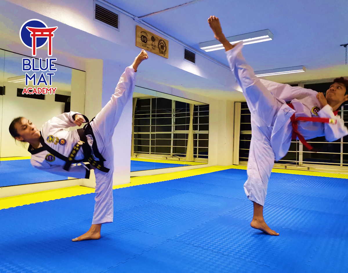 Blue Mat Academy 2