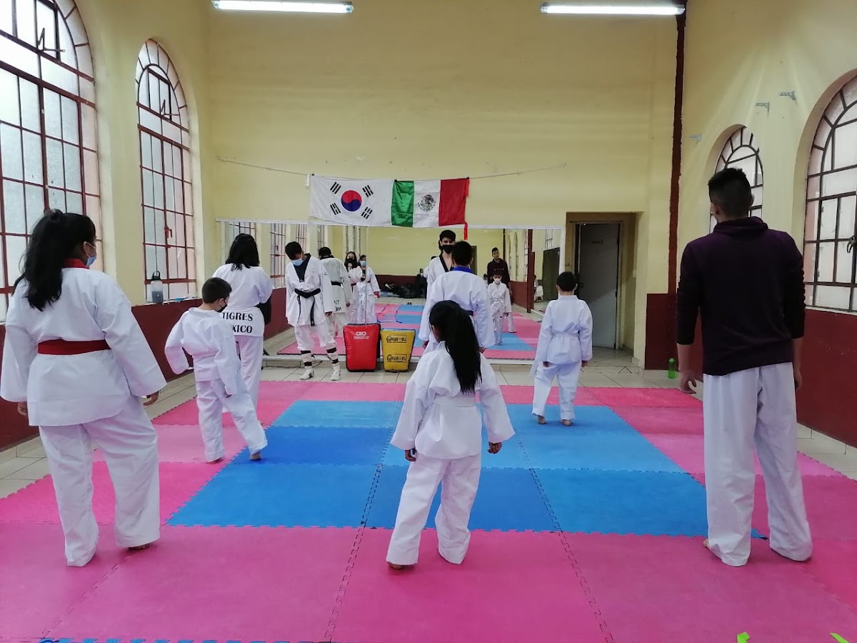 Taekwondo Maszter's Team
