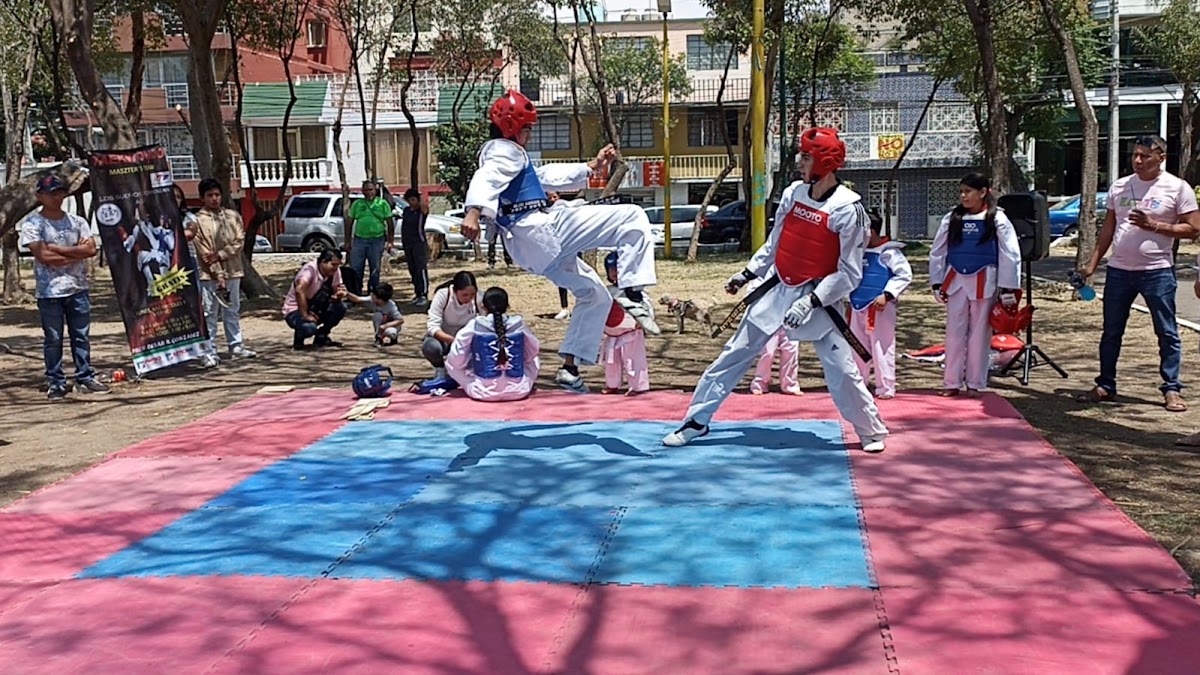 Taekwondo Maszter's Team 2