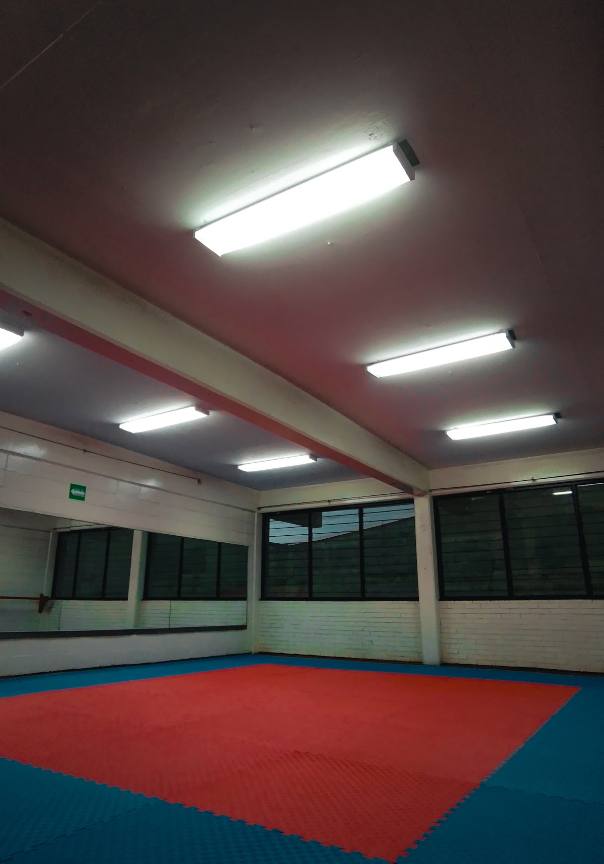 Guerreros Maya Taekwondo - Rosario Castellanos
