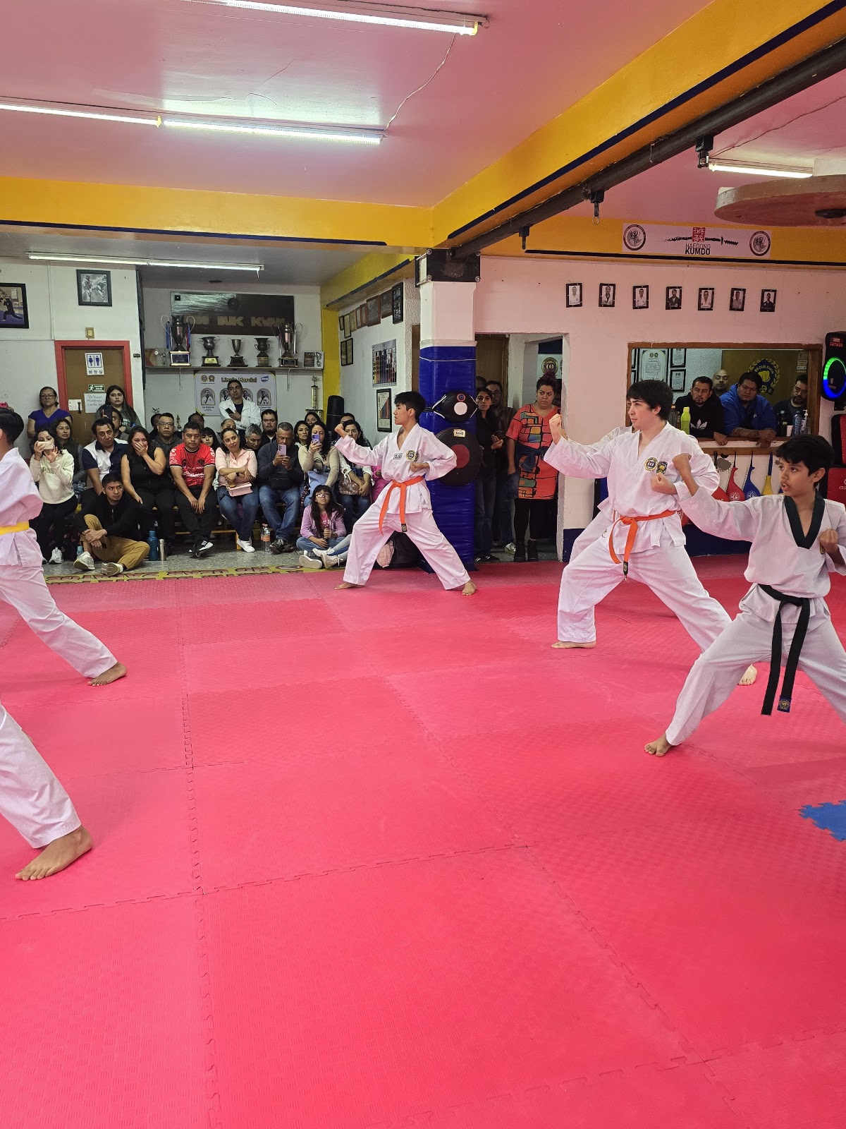 MOO DUK KWAN INDUSTRIAL 2
