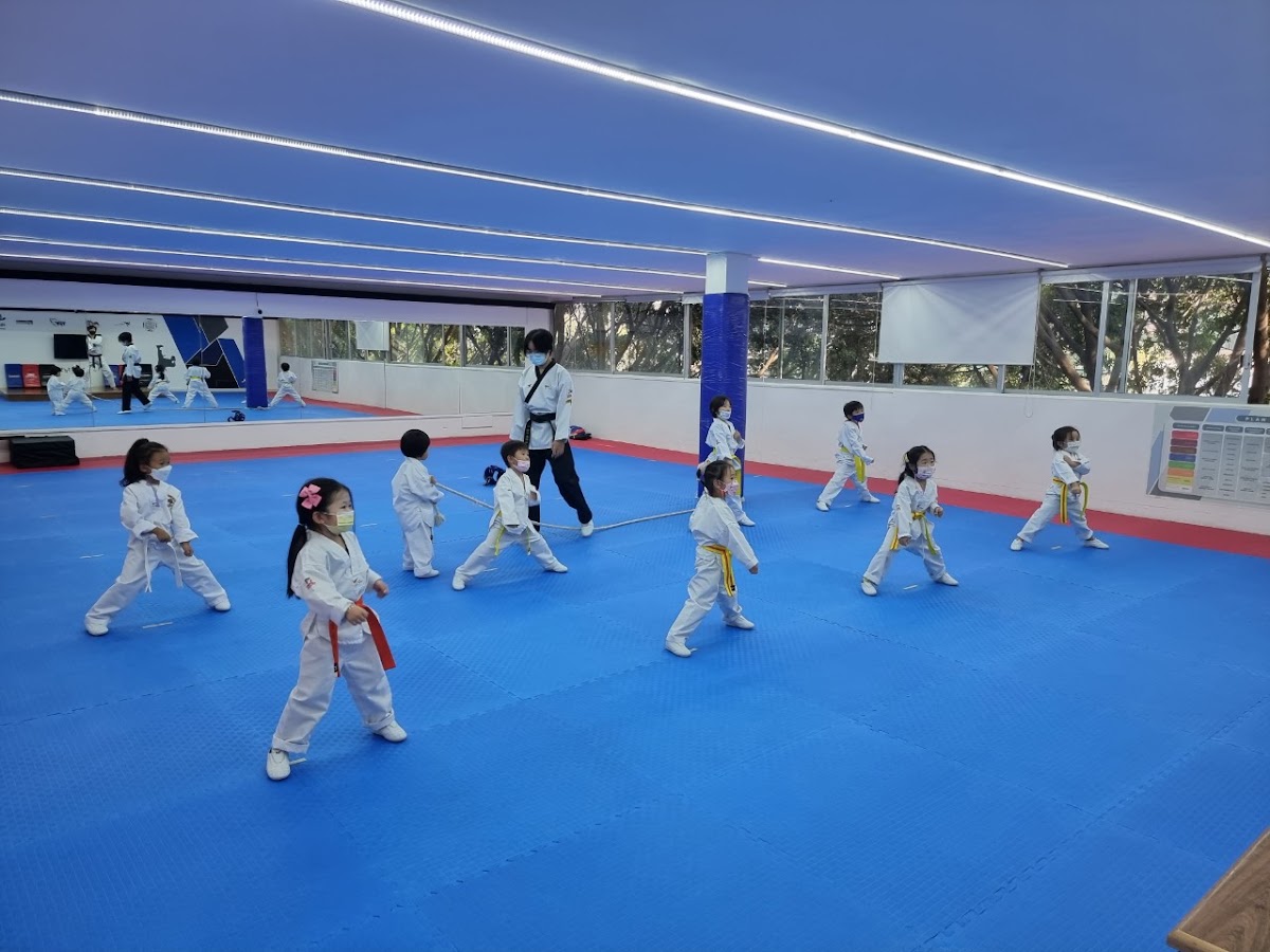 Jin World Taekwondo Academy