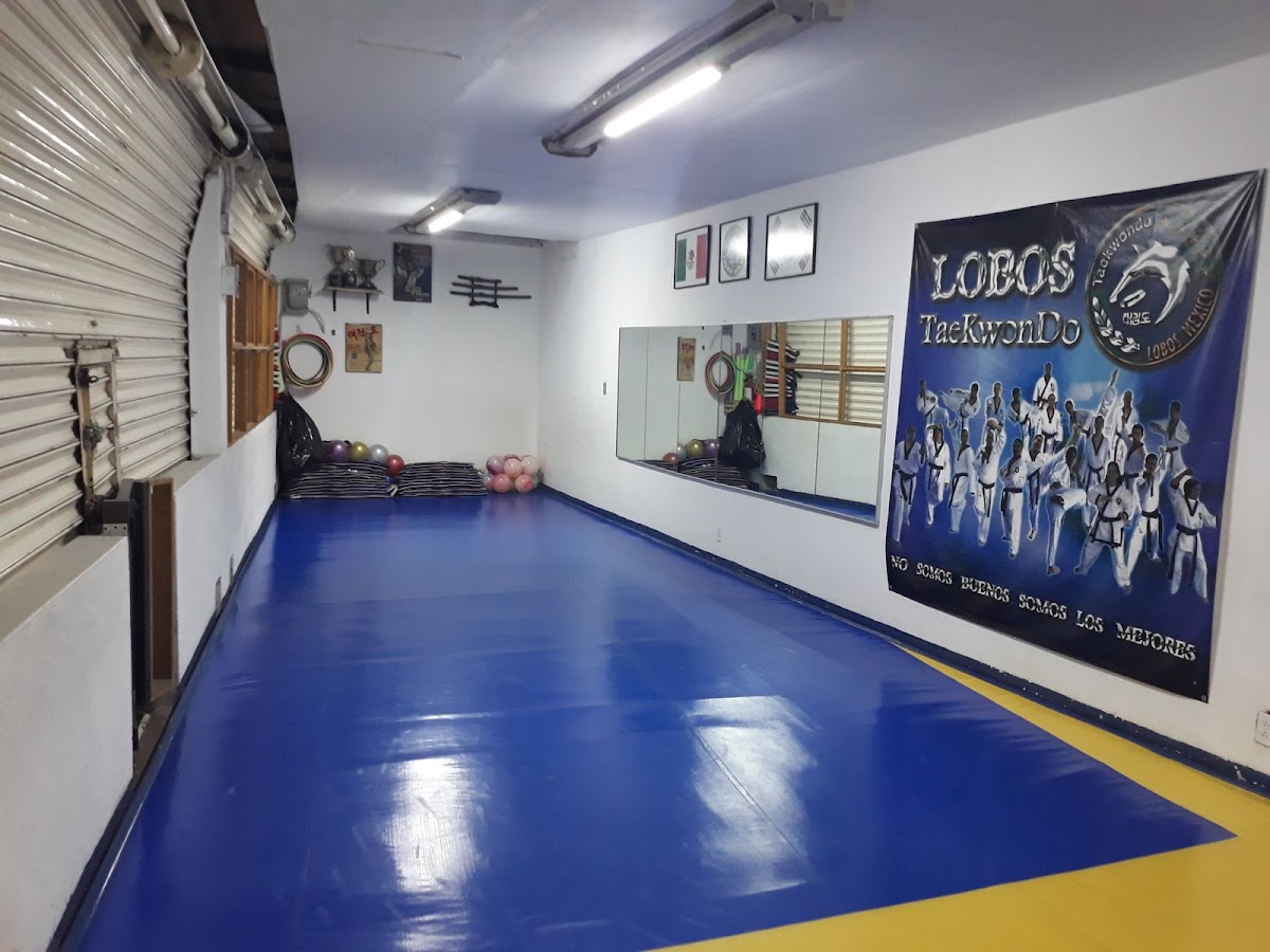 Lobos taekwondo