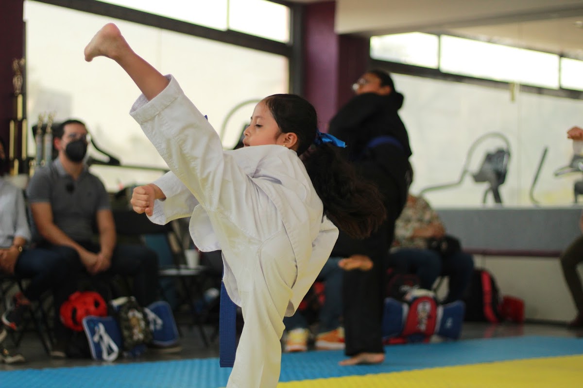 Centro Profesional de TaeKwonDo Sotelo 2