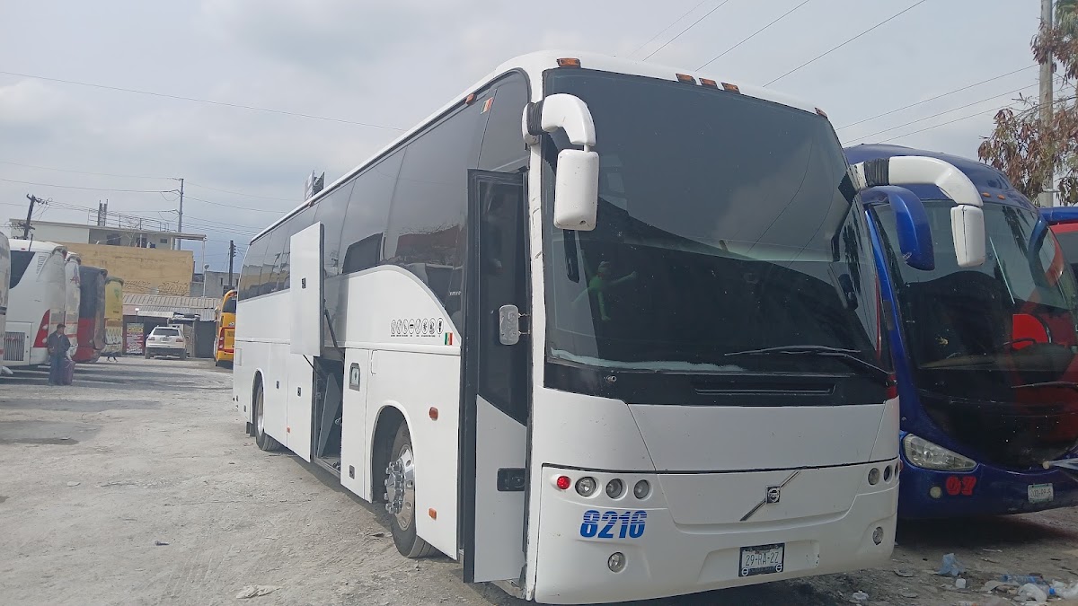 Viajes Reyna Sucursal 2