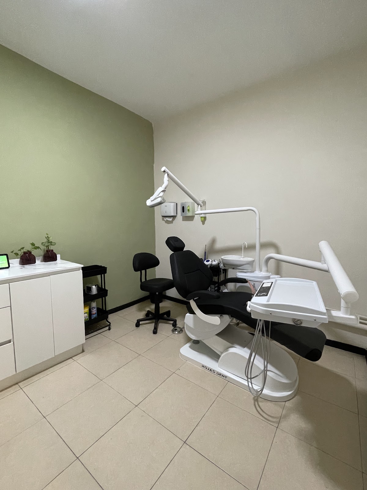 Dra. Tonanzin dentista
