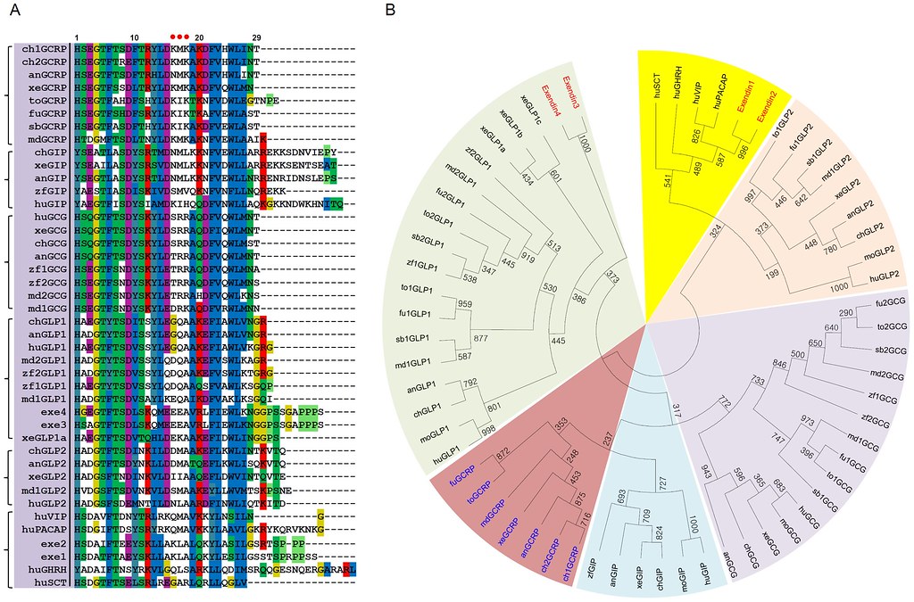 GLP-1 약물 수명 연장 효과, 멕시코 한인 건강 관리 패러다임 바꾼다