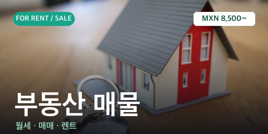 부동산 매물