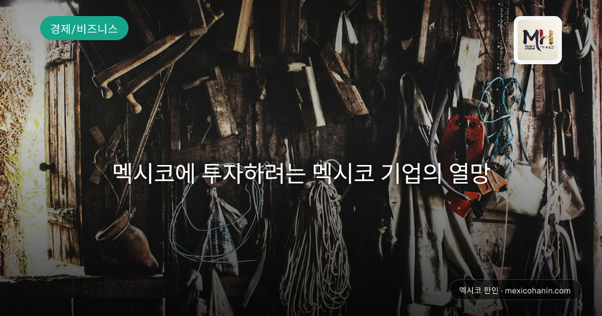 멕시코에 투자하려는 멕시코 기업의 열망