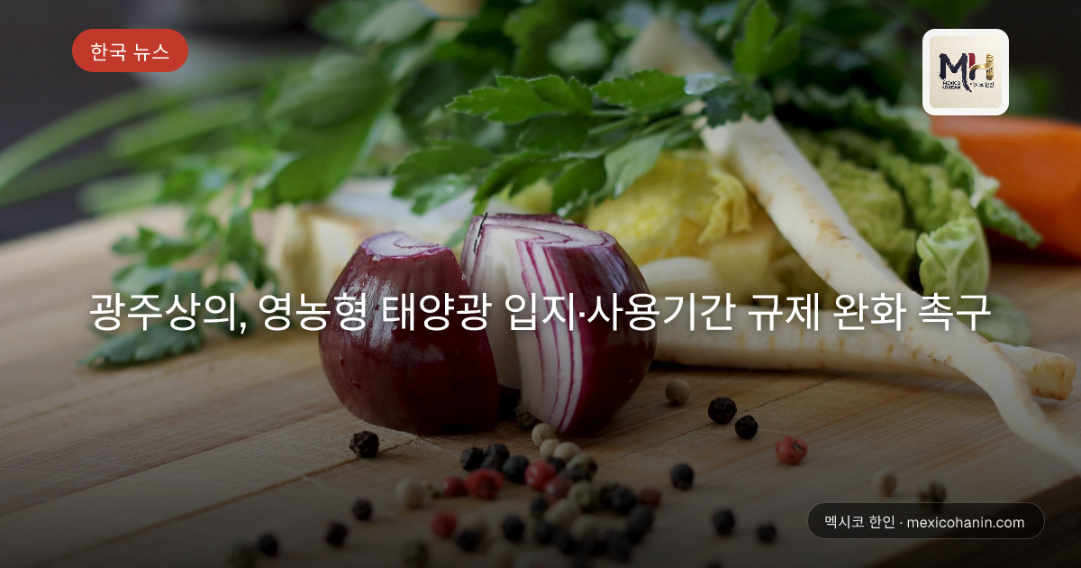 광주상의, 영농형 태양광 입지·사용기간 규제 완화 촉구